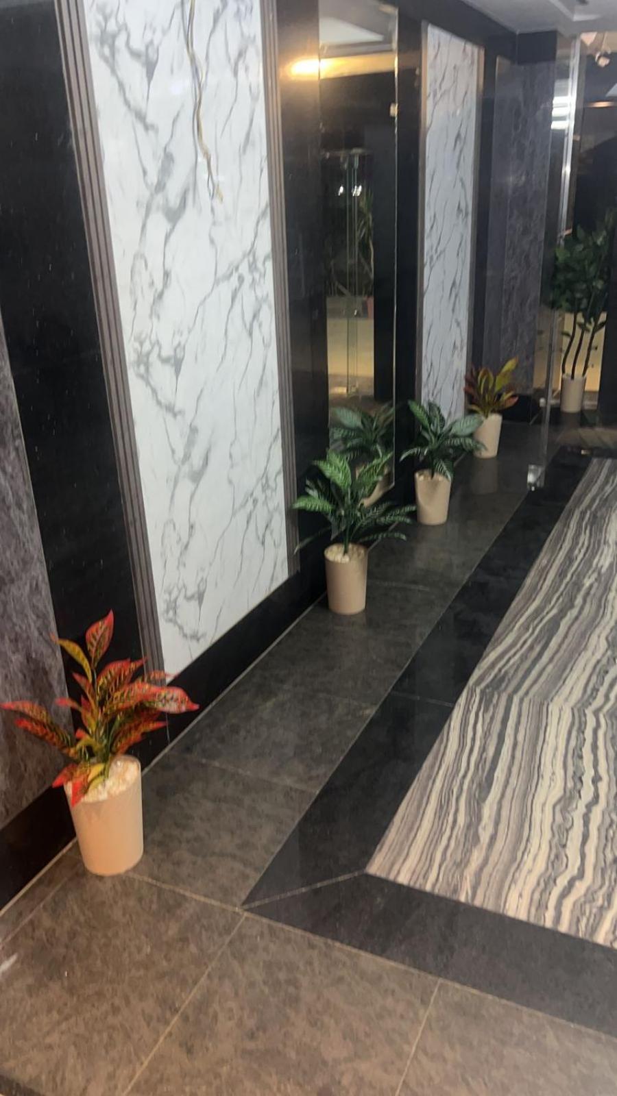 المهندسين شارع شهاب المهندسين *